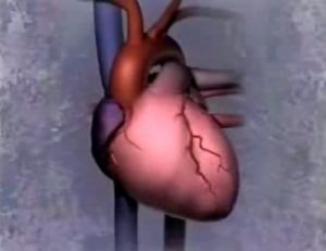 penyakit gagal jantung